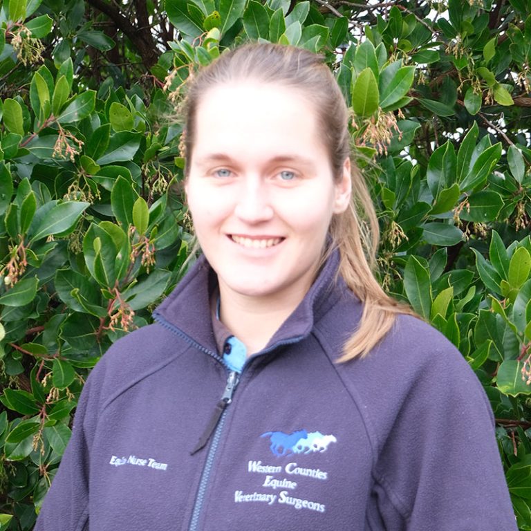 Phoebe Wright | Team | Western Counties Equine Hospital